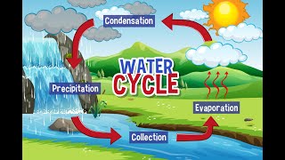 how the water cycle works  hydrological cycle explained [upl. by Asiluj]