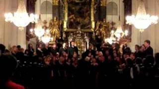 Stellenbosch University Choir  Amazing Grace [upl. by Yhtur]