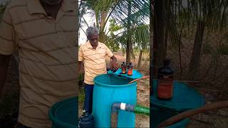 Humic Acid Liquid Fertilizer for Pomegranate trees organicfarming organicfertilizer [upl. by Aneleairam73]