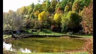 Autunno in Umbria  Fall Foliage in Umbria Italy [upl. by Nylaf]