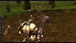 DARKFALL ONLINE  Large Group PVP EPIC VID [upl. by Gwenneth940]