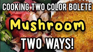 Cooking Two Color Bolete Two Ways [upl. by Eicul]