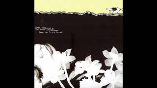 Hope Sandoval amp The Warm Inventions  Unlisted Clear Day Reprise [upl. by Fagin928]