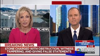 Rep Schiff on MSNBC Muellers Indictment of Roger Stone Incredibly Significant [upl. by Melisande329]