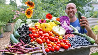 Astonishing July Garden Harvest 😮 [upl. by Eihs157]