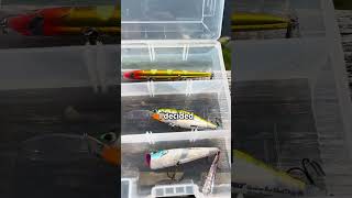 Building The Ultimate Starter Tackle Box 🎣 [upl. by Hras]