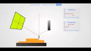 AFM Principle Basic Training [upl. by Htiekal436]