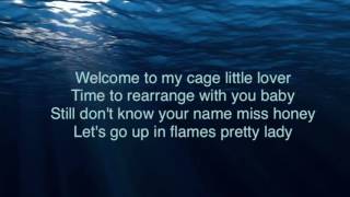 Missio • Bottom Of The Deep Blue Sea Lyrics [upl. by Ronnie511]