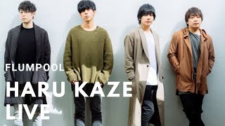 Flumpool  Harukaze Live at Shibuya Club Quattro [upl. by Ativad850]