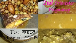 15 🥰 ।।2nd Trimester Pregnancy।।আজকে Hospital যেতে হলো কিছু Test করতে 🤰।।Bengali Vlog Videos [upl. by Grazia]