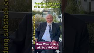 HansWerner Sinn erklärt VW Krise [upl. by Rog]