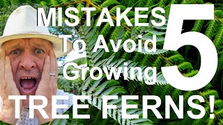 Five Mistakes to Avoid When Growing Tree Ferns  Dicksonia antarctica [upl. by Reinhart]