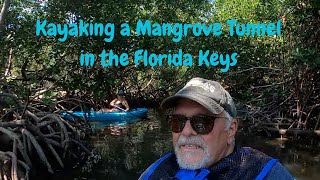 Kayaking a Mangrove Tunnel in the Florida Keys [upl. by Nylodnewg]