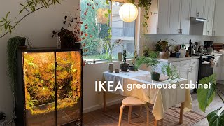 Upgrading my IKEA greenhouse cabinet  tutorial update and tour [upl. by Vasyuta]