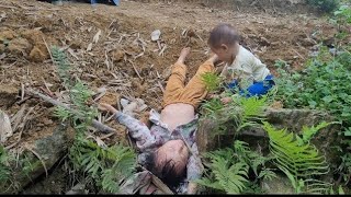 mother and son go harvest fruit to sell bodonthan123 [upl. by Jerald]