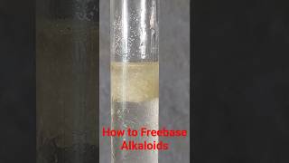 PEA Phenylethylamine HCl Freebase reaction [upl. by Odareg]