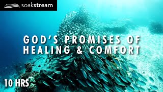 Gods Promises of Healing amp Comfort  10 Hour Scripture Soaking With Gods Word [upl. by Kahler]