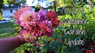 10224 Container Garden Update [upl. by Yllim201]