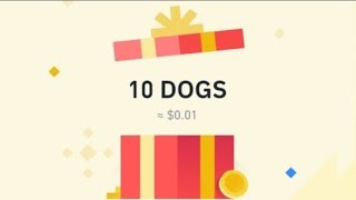 Free Dogs 💰 Red Packet Code In Binance Today 🎁 19 October New Update Red Packet Code 🤑 Crypto Box 🎁 [upl. by Adnamar]