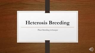 Heterosis introduction [upl. by Lenox]