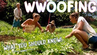 HOW TO WWOOF FOR BEGINNERS  THE BASICS FOR WORK  CHEAP TRAVEL [upl. by Tidwell481]