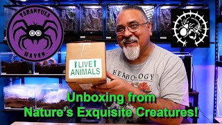 Unboxing from Natures Exquisite Creatures [upl. by Woothen]