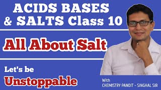 Complete Salt In One Video Class 10  All about salt  Chemistry Pandit Singhal Sir [upl. by Harv]