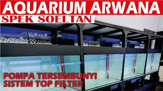 AQUARIUM ARWANA SPEK SOELTAN TERLENGKAP BERGARANSI [upl. by Lebam]