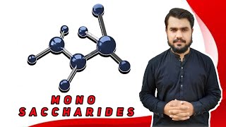 monosaccharides  monosaccharides structure and function  monosaccharides class 11  biochemistry [upl. by Marinna]