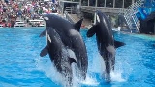 One Ocean SeaWorld San Diego 2013 Part 1 [upl. by Sada645]