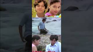 Vellichillum vithari hit song ina movie [upl. by Ayit]