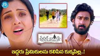 Paper Boy Movie Climax Scene  Santosh Sobhan  Sampath Nandi  iDream Media [upl. by Bohlin]