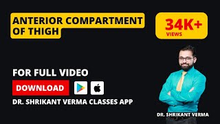 95 ANATOMY Anterior compartment of thigh Lower Limb by Dr SHRIKANT VERMA CLASSES [upl. by Azzil]