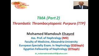 Thrombotic Thrombocytopenic Purpura TTP TMA part 2 [upl. by Yaeger]