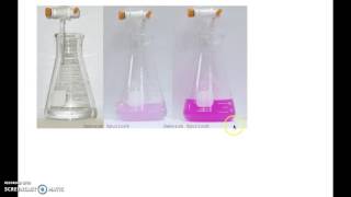 Antacid Titration Experimental Set Up [upl. by Ylac900]