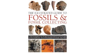 The Illustrated Guide to Fossils amp Fossil Collecting [upl. by Atteinotna]