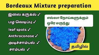 Bordeaux Mixture Preparation  in Tamil  துத்தம்  சுண்ணாம்பு கலவை  பல நோய்களுக்கு ஒரே மருந்து [upl. by Shellie]