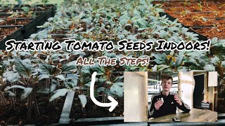 Starting Tomato Seeds Indoors What To Do For Maximum Success [upl. by Itsuj860]