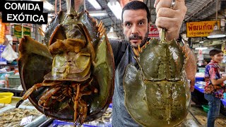 Comendo nos MERCADOS mais EXÓTICOS da Tailândia 🇹🇭 [upl. by Vel]