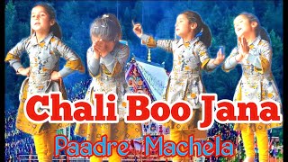 CHANDI MATA BHAJAN Chali Boo Jana Paadre Machela Singer Kulbir Nagotra Rajo Dogri Bhajan [upl. by Maia]