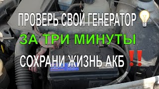 Как проверить генератор За 3 минуты БЕЗ ПРИБОРОВ и умений [upl. by Norihs]