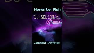 November Rain Eclectic Soul Extended Version By Dj Selenide [upl. by Notkcorb]