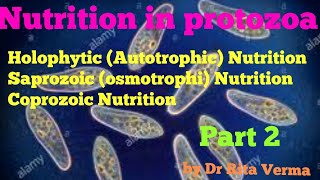 Holophytic AutotrophicSaprozoic osmotrophi Coprozoic Nutrition in protozoa part 2 for BSc 1st year [upl. by Tedmann648]