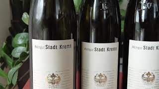 SUPERB Wine Tasting from Weingut Stadt Krems wine winelovers winetasting kremstal [upl. by Adalie41]