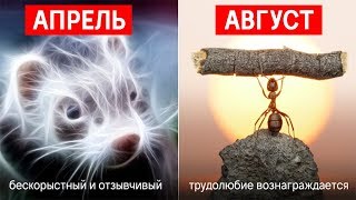 КАКОЙ ТЫ ЗВЕРЬ ПО ДАТЕ РОЖДЕНИЯ [upl. by Dnomar165]