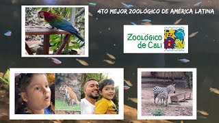 Zoológico de CALI 🇨🇴  ¿El MEJOR de Latinoamérica [upl. by Kcirdderf]