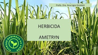 HERBICIDA AMETRYN [upl. by Harberd]