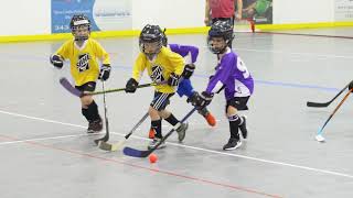 Sask Ball Hockey  Tykes [upl. by Enirahtak]