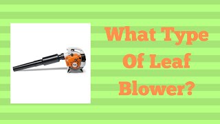 What Type Of Leaf Blower [upl. by Eniamret]