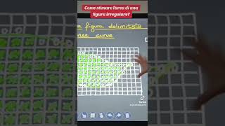 Come stimare larea di una figura irregolare [upl. by Cirederf]
